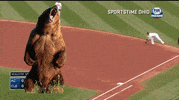 cle GIF by MLB