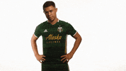 Portland Timbers Shrug GIF by Timbers