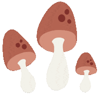 Mushroom Krot Sticker