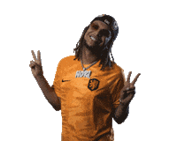 HuisVanOranje peace voetbal dutch nederland Sticker