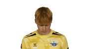 Look Up Sc Paderborn 07 Sticker by Bundesliga