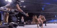 Chris Jericho Aew On Tnt GIF by All Elite Wrestling on TNT