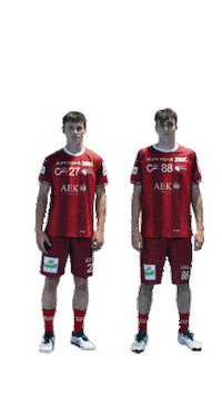 Unihockey Ritz Sticker