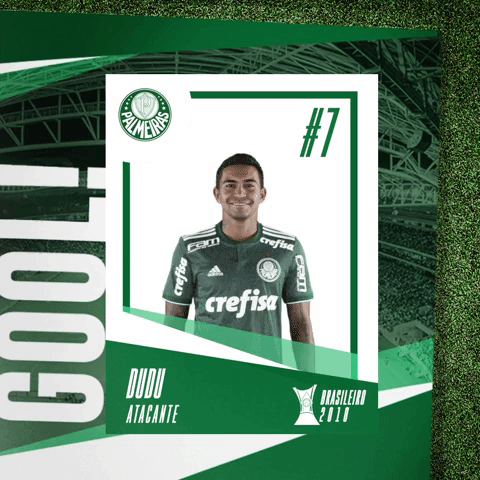 GIF by SE Palmeiras