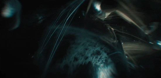 Season 4 Episode 10 GIF by Paramount+