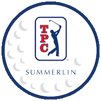 Tiger Woods Golf Sticker by TPC Network