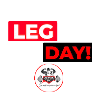 academiaphgym academia treino phgym academiaphgym Sticker