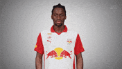 Change Rotate GIF by FC Red Bull Salzburg