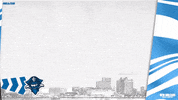 New Orleans Cross Country GIF by New Orleans Privateers