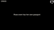 dog news GIF