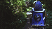 GIF by Your Cat Backpack