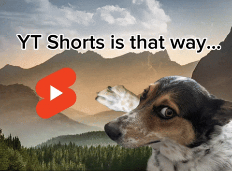 Youtube Dog GIF