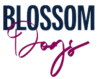 Beautiful Day Photography Sticker by puppytales