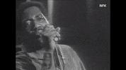 king of soul GIF by Otis Redding