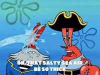 season 6 grandpappy the pirate GIF by SpongeBob SquarePants
