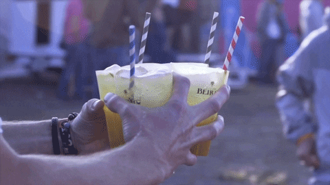festival portugal GIF by Licor Beirão