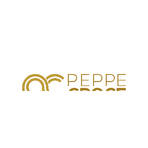 peppecroce giphygifmaker music dj night Sticker
