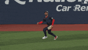 Blue Jays Baseball GIF by Toronto Blue Jays
