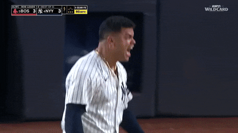 New York Yankees GIF by MLB