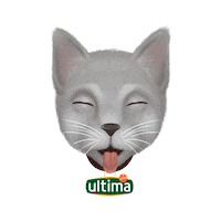 Rollingonthefloorlaughing Lloro De Risa Sticker by Ultima Affinity
