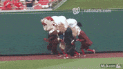 120 GIF by MLB
