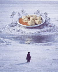 Penguin Momo GIF