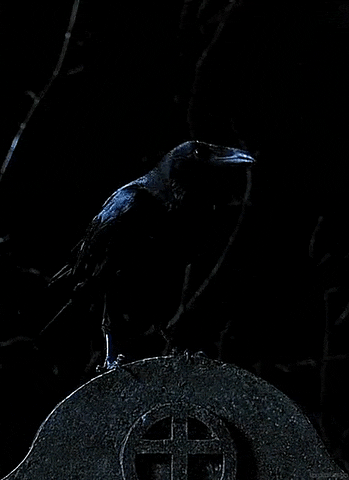 the crow film GIF