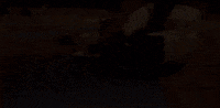 Vsop GIF by L’Extase Cognac