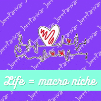 Nft GIF by Digital Pratik