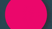 Young Vic GIF by Young Vic Theatre