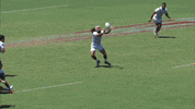 Can&#39;T Touch This Mc Hammer GIF by Rugby World Cup