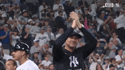 New York Yankees Win GIF by MLB