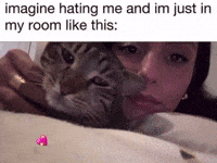 Cat Diva GIF