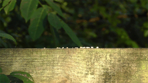 ritacelia giphyupload GIF