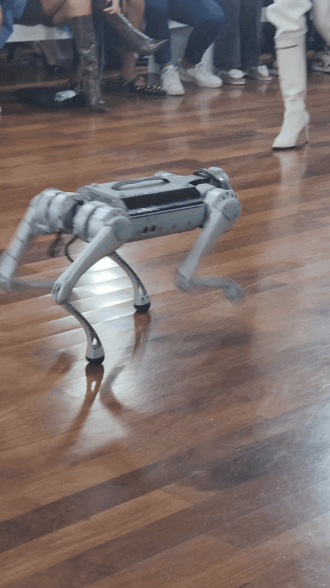 rebecaligabue giphyupload desfile robô forca studio GIF