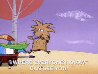 nickrewind nicksplat angry beavers GIF