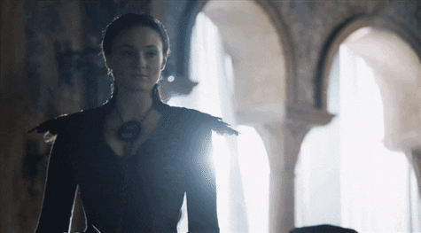 sansa GIF