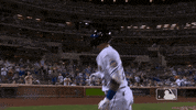 Excited Ny Mets GIF by New York Mets