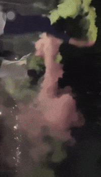 Balas Flaretl GIF by Sukrin