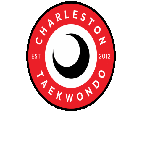 CharlestonTaekwondo giphygifmaker taekwondo charleston charlestontaekwondo Sticker