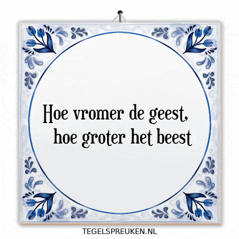 Nl Vroom GIF by Tegelspreuken.nl