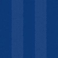 Mal Ob GIF by Odense Boldklub