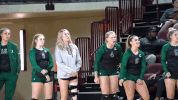 celebration emueagles GIF by EMU Athletics