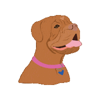 Cute Dog Boxer Sticker by Treeline Vet