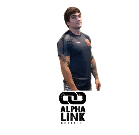 Fitness Workout Sticker by Alpha Link Crossfit