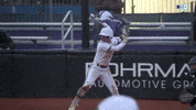 Softball Wildcats GIF by Northwestern Athletics