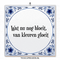 Humor Moment GIF by Tegelspreuken.nl