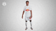 Football Sport GIF by FC Red Bull Salzburg