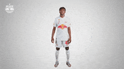 Football Sport GIF by FC Red Bull Salzburg