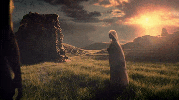 Dave Meyers GIF by P!NK